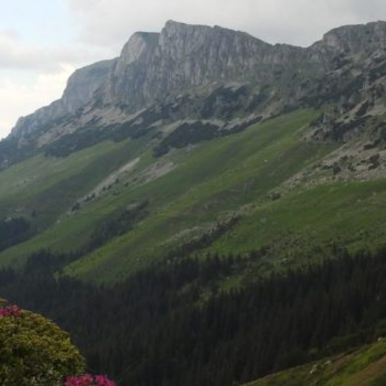 IMG_20181216_122026_1-1170×350