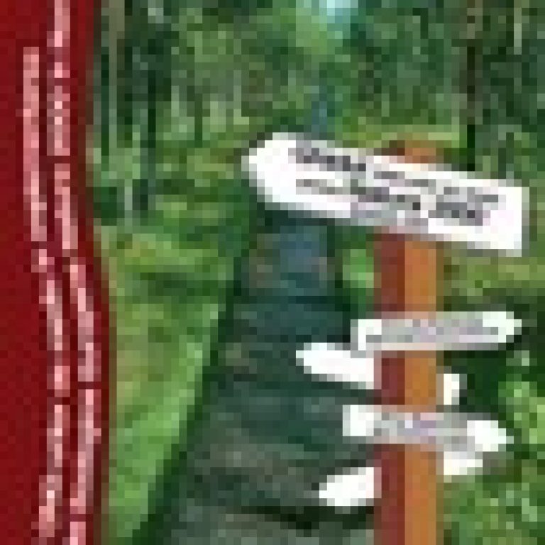 publicatie-ghiul-ong-urilor-de-mediu