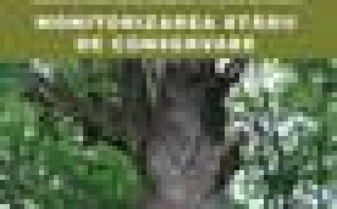 publicatie-ong-011