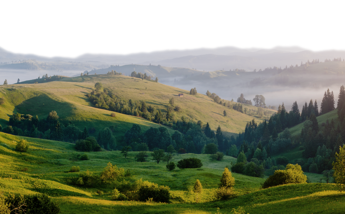 shutterstock_618292847_3