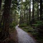 Poziție privind propunerea legislativă de modificare a OUG nr. 57/2007 referitoare la instituirea planurilor de urgență fitosanitară în ariile naturale protejate