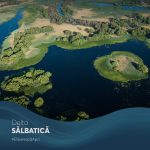 Coaliția Natura 2000 România susține campania #ElibereazăApa și documentarul „Delta Sălbatică”
